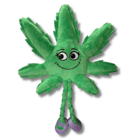 My Name is Mary Jane, Cute Stuffed Parody Marijuana Leaf Dog Toy, Funny Squeaky Weed Toy, Cool Plush Novelty 420 Gift for Puppies & Small My Name is Mary Jane, Cute Stuffed Parody Marijuana Leaf Dog Toy, Funny Squeaky Weed Toy, Cool Plush Novelty 420 Gift for Puppies & Small